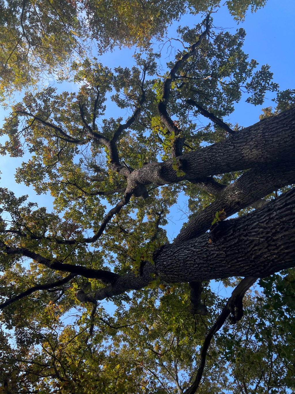 a kapcsolódás művészete